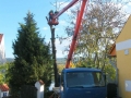 DSCF8702