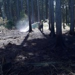 19264222_434049030296972_1360835022_o