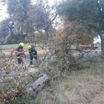 22218136_477896172578924_1194719711_o